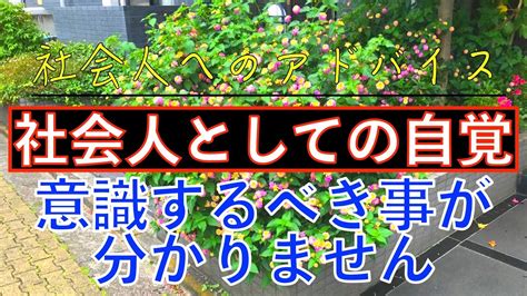 社会人へのアドバイス社会人としての自覚とは自覚が持てない自覚が足りない具体的に何を意識すれば良いのか YouTube