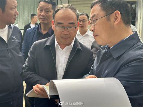 阳新新闻：杨波调研督导城区口袋公园规划建设