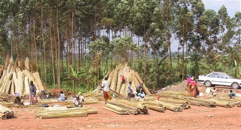 Natural Resources And Mining Industry In Togo