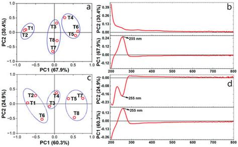 Polymers | Special Issue : Carbohydrate Polymers: Synthesis ...