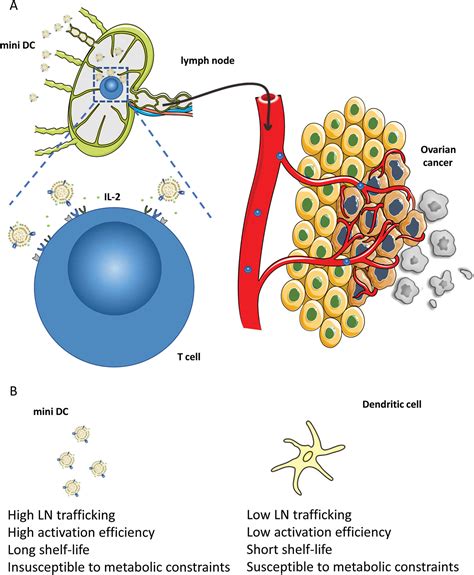 Artificial Mini Dendritic Cells Boost T Cellbased Immunotherapy For