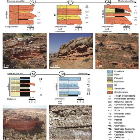 Main Lithological And Sedimentological Features Of The Lithofacies