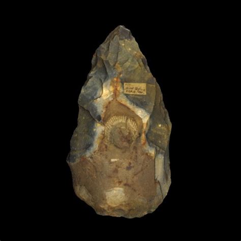 Acheulean Handaxe Museum Of Stone Tools