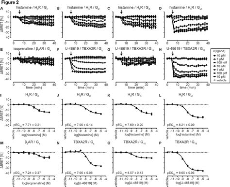 Functional Validation Of Bret Based G Protein Biosensors A H ∆bret Download Scientific