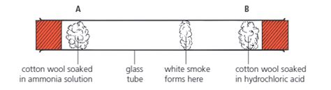 Ammonia And Hcl Labelled Diagram To Show The Diffusion Of 50 Off