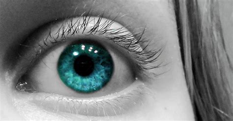 Eye teal | Eye color, Eyes, Color