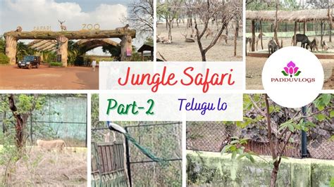 Jungle Safari Vlog Naya Raipur Series Part 2 Padduvlogs Youtube