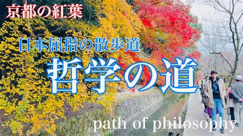 Walking Along The Kyoto Philosophy Path