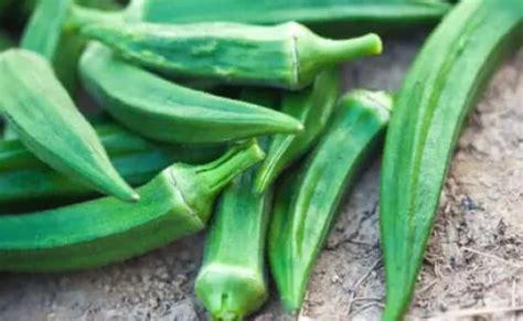 10 Benefits Of Consuming Okra Regularly Consumers Advisory