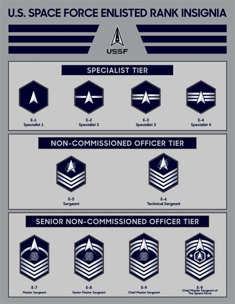 Official USSF Enlisted Rank Insignia - With Information Sheet : r ...