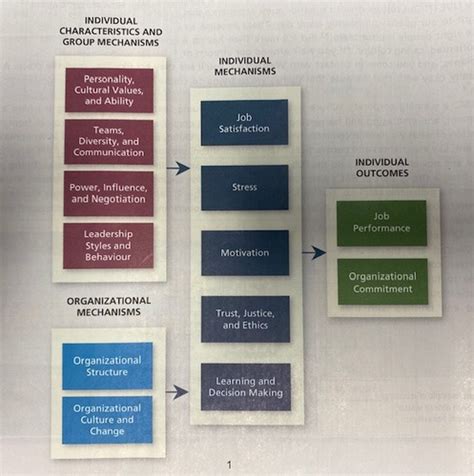 Organizational Behavior Flashcards Quizlet