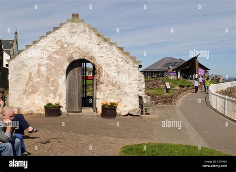 Scottish Seabird Centre North Berwick Fotos Und Bildmaterial In Hoher