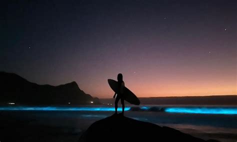 Bioluminescence casting its magic on the bays.