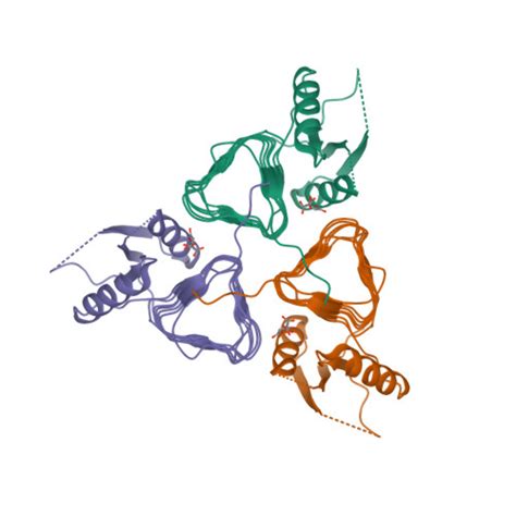 RCSB PDB 3BFP Crystal Structure Of Apo PglD From Campylobacter Jejuni