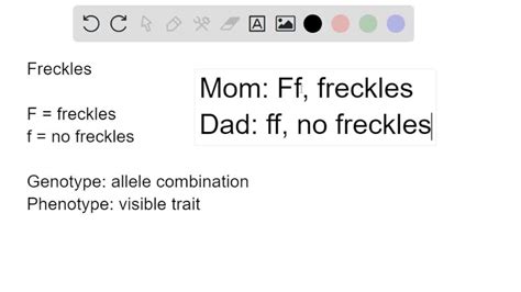 Solved Question 50 1 Pts Consider The Autosomal Dominant Traits For