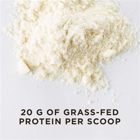 Grass Fed Vanilla Whey Protein Powder Solgar