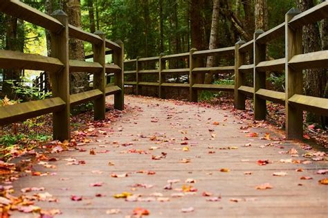 Premium Photo Fallen Red Orange And Yellow Leaves On Boardwalk