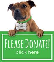 How To Donate A Dog