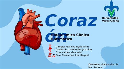 Anatomía Y Enzimas Presentes En Corazón Esquemas Y Mapas Conceptuales