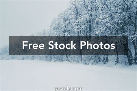 1,000+ Best Snowstorm Photos · 100% Free Download · Pexels Stock Photos