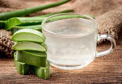 Why Aloe Vera Juice Is Good For Health Femina In