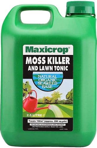 Lawn Moss Killers - The Best Moss Treatment Products in 2021