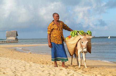 Lamu Archipelago Destination Guide Kenyan Safari S