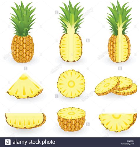 Pineapple Stock Vector Images Alamy