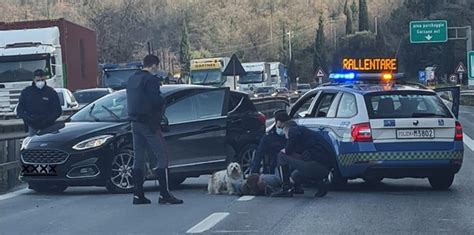 Folle Corsa Di Km Contromano In Autostrada Panico Tra Gli