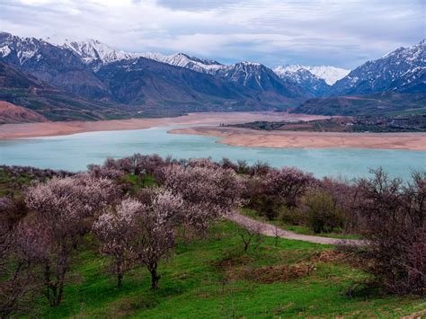 Nature Uzbekistan Travel