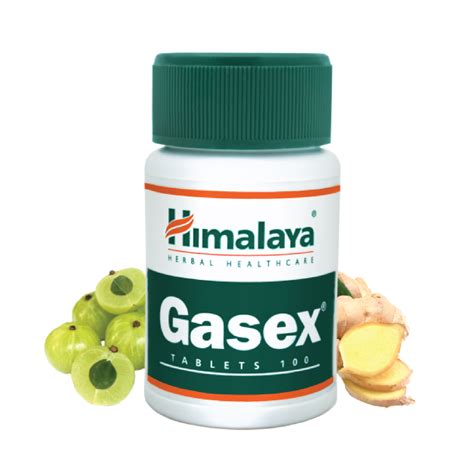 Himalaya Gasex - 100 Tablets – Himalaya Wellness (Poland)