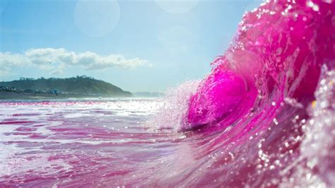 Scientists Turned Waves Pink At This San Diego Beach — Heres Why Nbc 7 San Diego