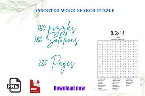 Assorted Word Search Puzzle Interior Graphic By Sunday Design