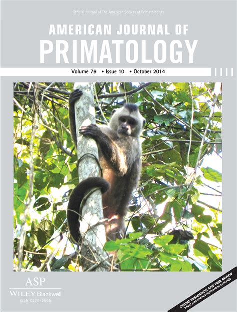 American Journal Of Primatology Primates Journal Wiley Online Library