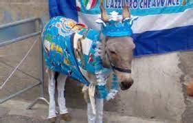 ciuccio cose  napoli