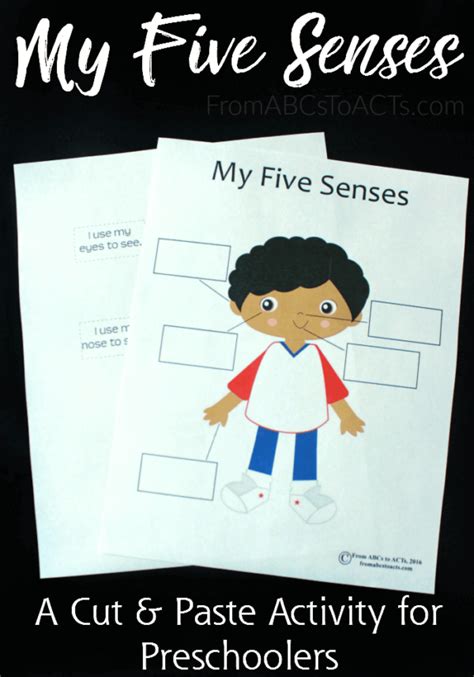 My Five Senses Cut And Paste Activity For Preschoolers From Abcs To Acts