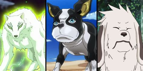 10 Best Anime Dogs