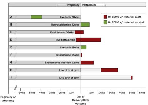 Extracorporeal Membrane Oxygenation In Pregnant And Postpartum Women A