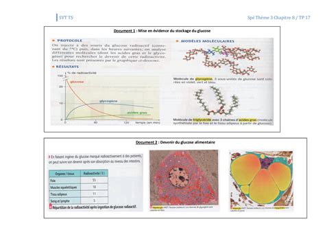 Tp Stockage Et Lib Ration Du Glucose Dans Lorganisme Alloschool