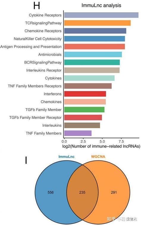 一区文章： 免疫相关lncrna Signature最优思路 知乎