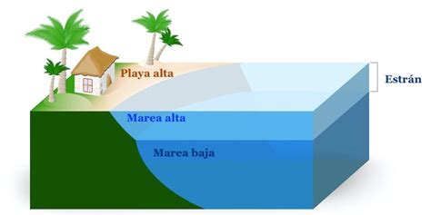 Playa Concepto Tipos Formaci N Conservaci N Y Ejemplos