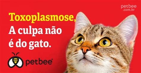 Maternidade Neutra Sobre Toxoplasmose