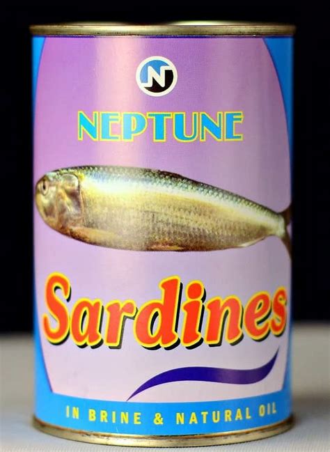 Neptune Canned Sardines In Brine 450 Grams Walmart