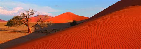 Best Namibia Tours Namibia Trips Vacations Exodus Usa