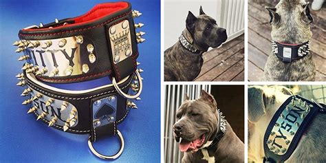 Best Dog Collars 2023 15 Cool Dog Collars For Style And Safety | thecoolist