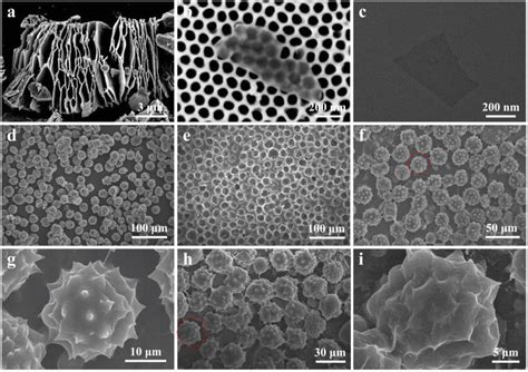 A Scanning Electron Microscope SEM Image Of The Unexfoliated Ti3C2Tx