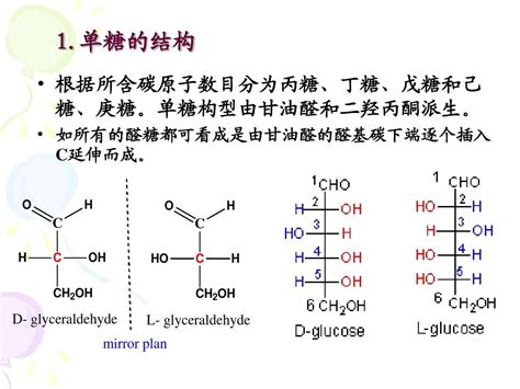 生物化学 糖类及其分解代谢word文档在线阅读与下载无忧文档