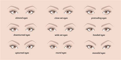 What's My Eye Shape? (Learn How to Tell Here)