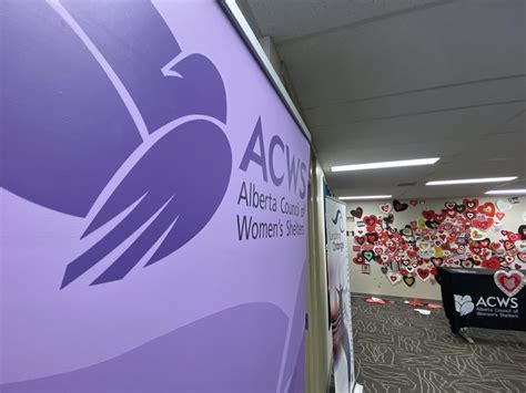 Stagnant funding for Alberta's women's shelters: report | CityNews Edmonton