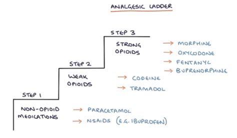 Analgesia Prescribing Flashcards Quizlet